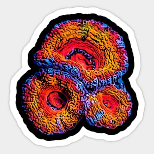 Aussie Lord Coral Art Sticker